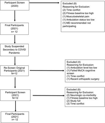 Effects of nordic walking exercise on gait, motor/non-motor symptoms, and serum brain-derived neurotrophic factor in individuals with Parkinson's disease